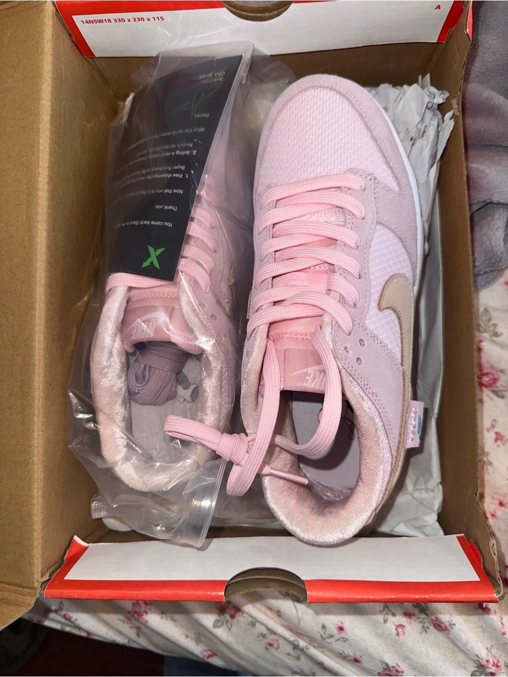 Limited Edition Nike Dunks in Teddy Bear Pink